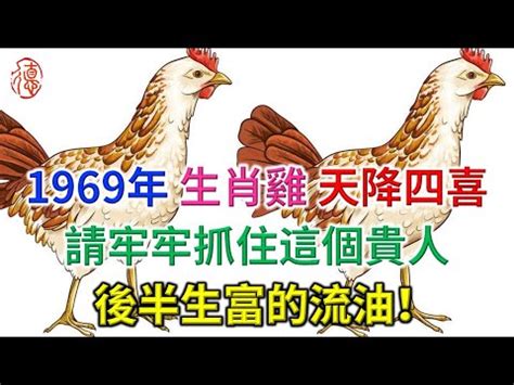 1969 雞 五行|【1969 雞 五行】1969年的雞是土命！來看看五行屬性及運勢建議